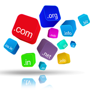 Domain Name Registration